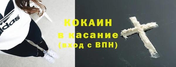 твердый Алексеевка