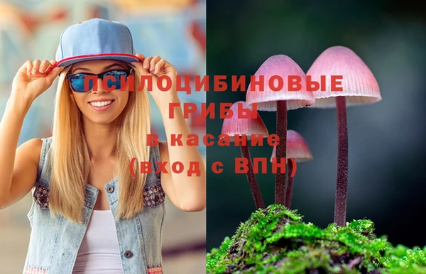 мескалин Алексин