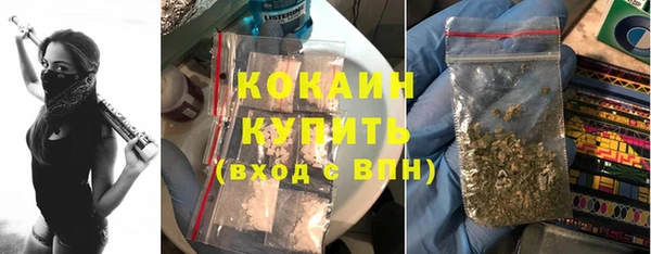 a pvp Алзамай
